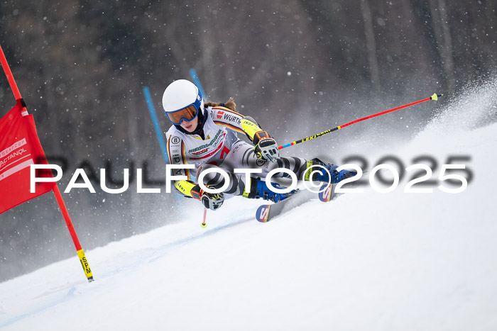 FIS Damen, RS Maria Alm 15.01.2025