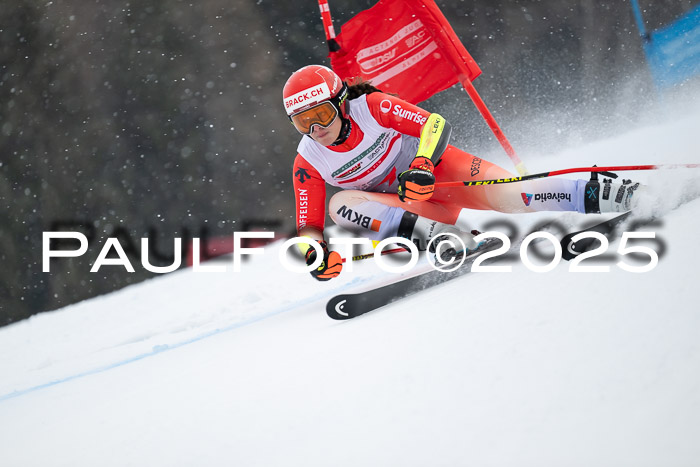 FIS Damen, RS Maria Alm 15.01.2025