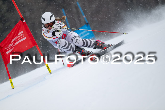 FIS Damen, RS Maria Alm 15.01.2025