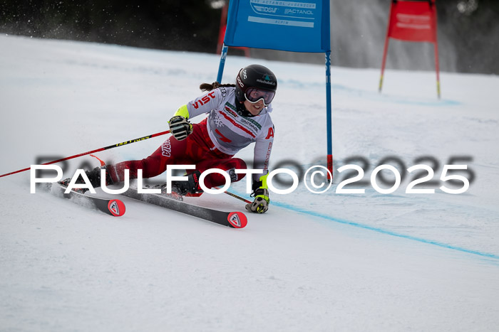 FIS Riesenslalom, Damen + Herren, Deutsche Jugendmeistersachaft 24.01.2025