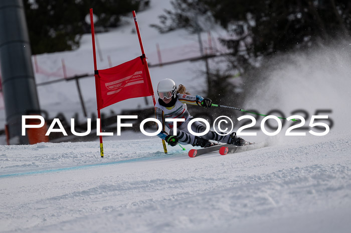 FIS Riesenslalom, Damen + Herren, Deutsche Jugendmeistersachaft 24.01.2025