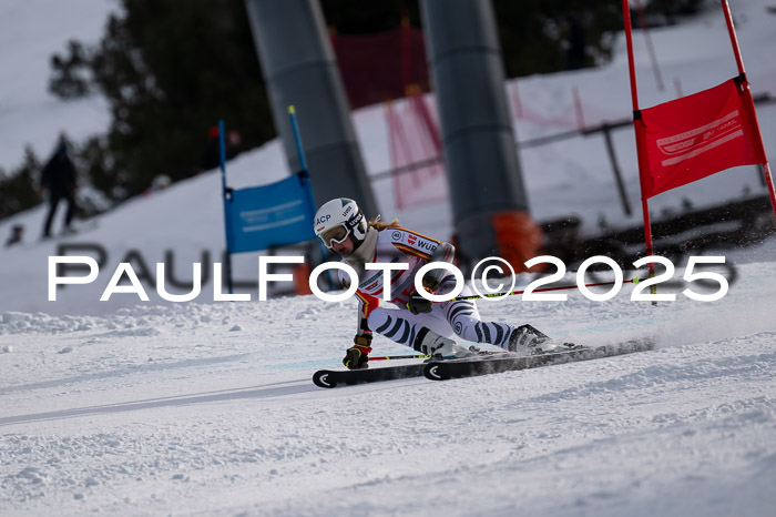 FIS Riesenslalom, Damen + Herren, Deutsche Jugendmeistersachaft 24.01.2025