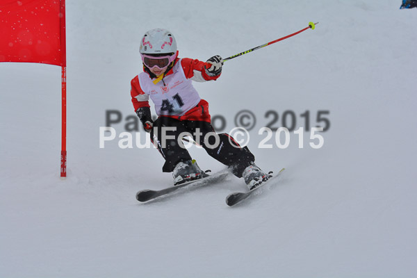 34. Schongauer Zwergerlrennen 2015