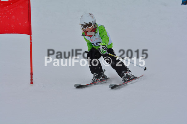 34. Schongauer Zwergerlrennen 2015