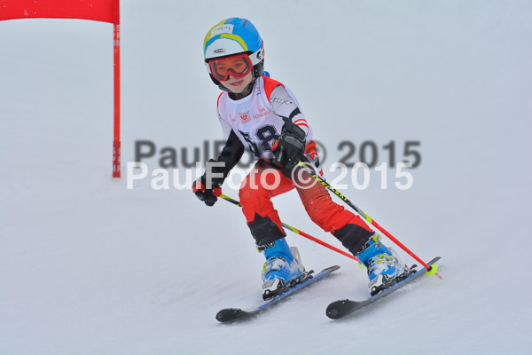 34. Schongauer Zwergerlrennen 2015