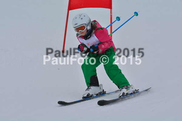 34. Schongauer Zwergerlrennen 2015