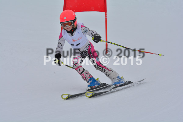 34. Schongauer Zwergerlrennen 2015