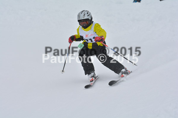 34. Schongauer Zwergerlrennen 2015