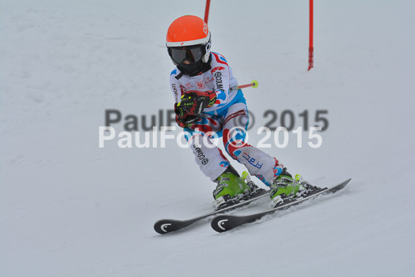 34. Schongauer Zwergerlrennen 2015