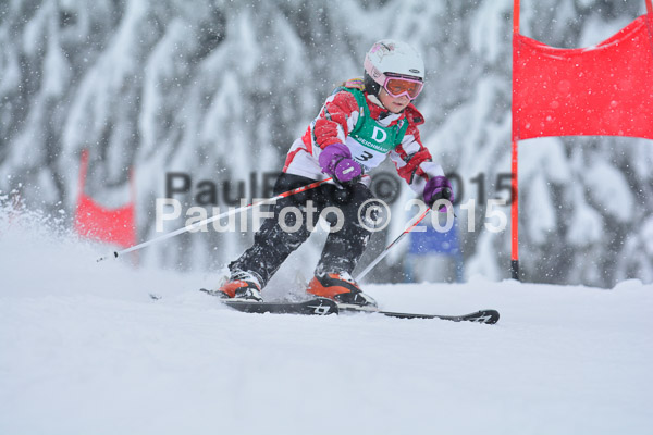 34. Schongauer Zwergerlrennen 2015