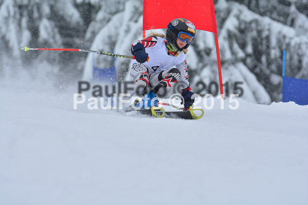 34. Schongauer Zwergerlrennen 2015