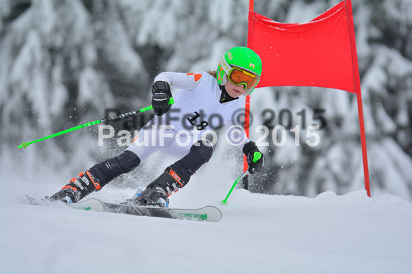 34. Schongauer Zwergerlrennen 2015