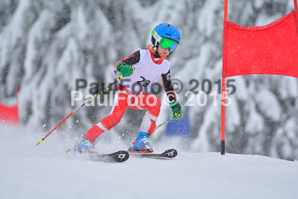 34. Schongauer Zwergerlrennen 2015