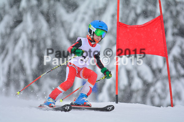 34. Schongauer Zwergerlrennen 2015