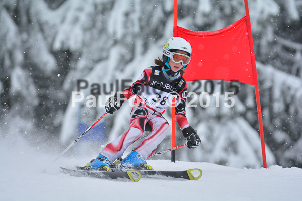 34. Schongauer Zwergerlrennen 2015