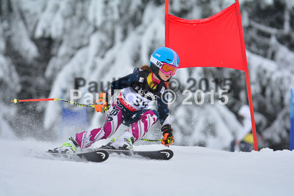 34. Schongauer Zwergerlrennen 2015