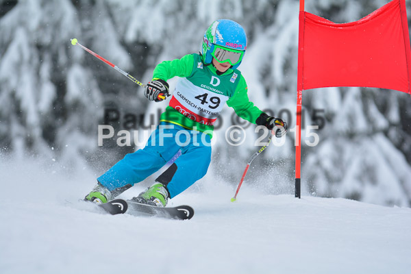 34. Schongauer Zwergerlrennen 2015