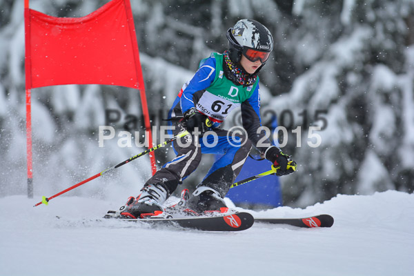 34. Schongauer Zwergerlrennen 2015