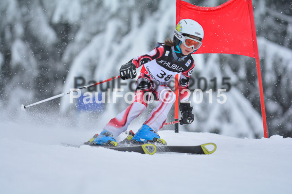 34. Schongauer Zwergerlrennen 2015