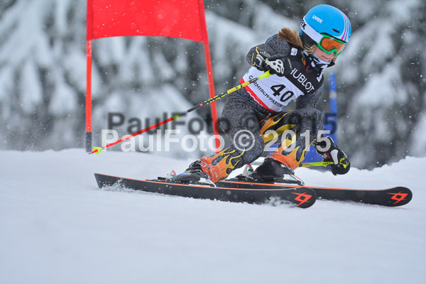 34. Schongauer Zwergerlrennen 2015