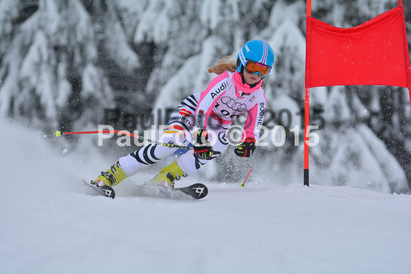 34. Schongauer Zwergerlrennen 2015