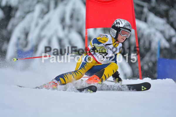 34. Schongauer Zwergerlrennen 2015