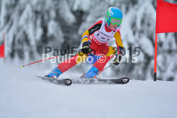34. Schongauer Zwergerlrennen 2015