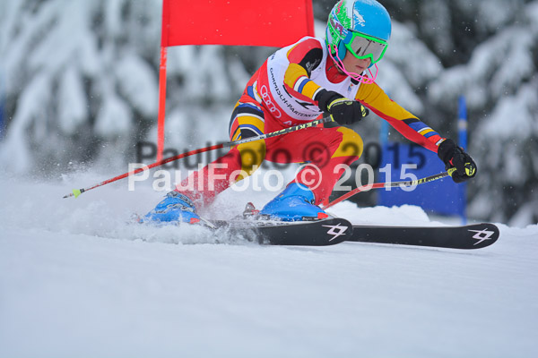 34. Schongauer Zwergerlrennen 2015
