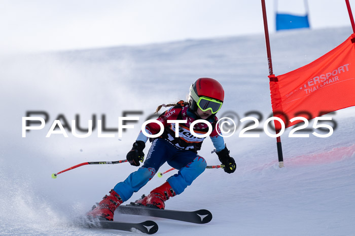 BSV U12 Ziener Kids Cross RSX Reg 3, 25.01.2025