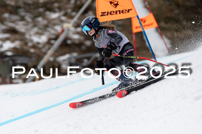 Ziener Kids-Cross M/OL U12 Race Cross IV 2025