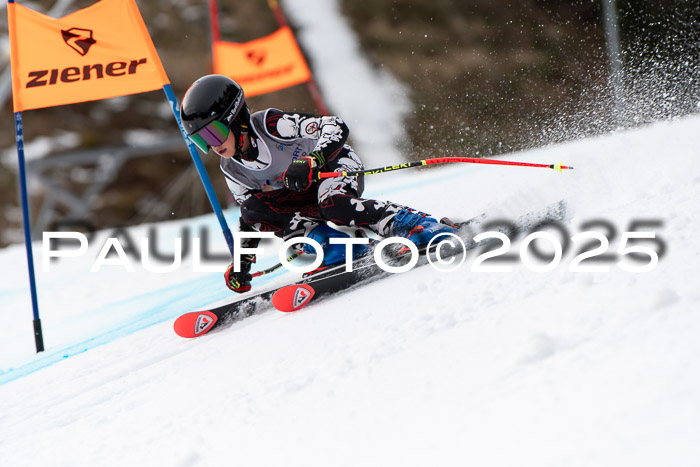 Ziener Kids-Cross M/OL U12 Race Cross IV 2025