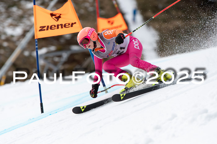 Ziener Kids-Cross M/OL U12 Race Cross IV 2025