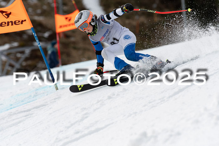 Ziener Kids-Cross M/OL U12 Race Cross IV 2025