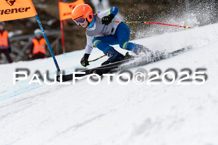 Ziener Kids-Cross M/OL U12 Race Cross IV 2025