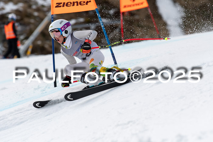Ziener Kids-Cross M/OL U12 Race Cross IV 2025