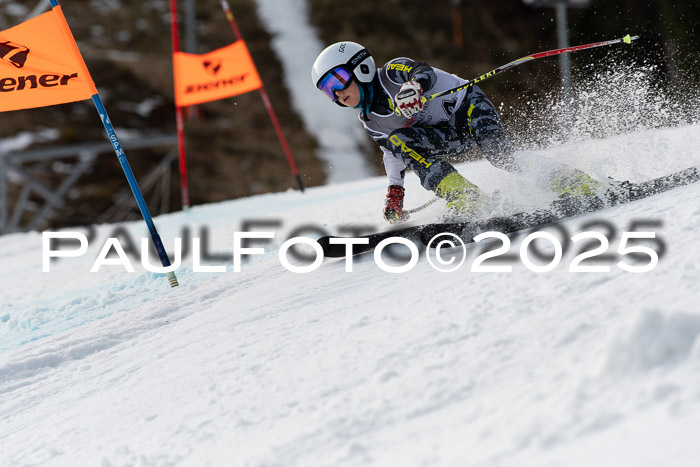 Ziener Kids-Cross M/OL U12 Race Cross IV 2025