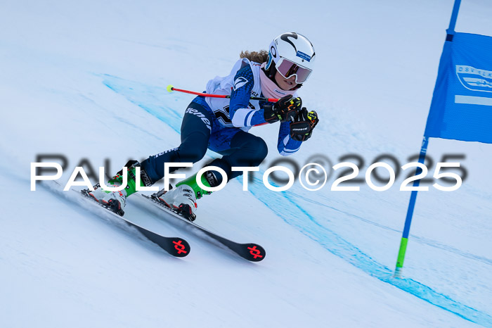 DSV ELK Schülercup Alpin U14 RS+, 01.02.2025
