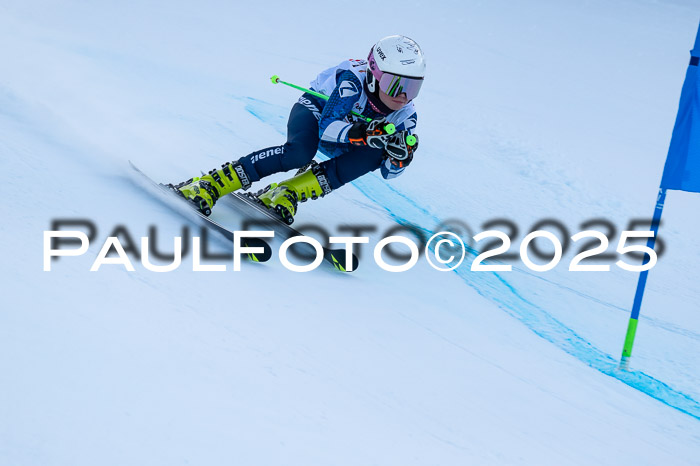DSV ELK Schülercup Alpin U14 RS+, 01.02.2025
