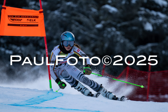 DSV ELK Schülercup Alpin U14 RS+, 01.02.2025