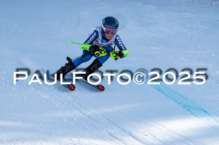 DSV ELK Schülercup Alpin U14 RS+, 01.02.2025
