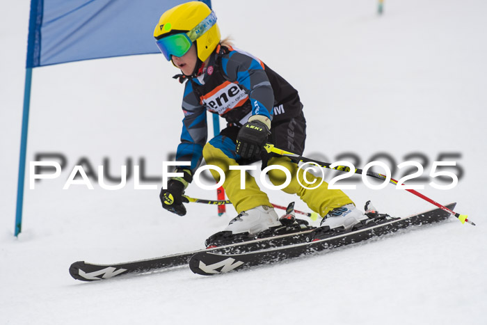 Ziener Cup Werdenfels U8,U10,U12,  01.02.2025