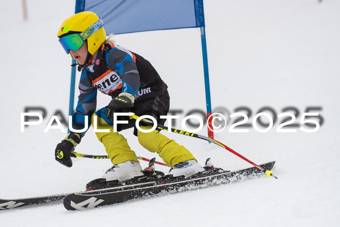 Ziener Cup Werdenfels U8,U10,U12,  01.02.2025