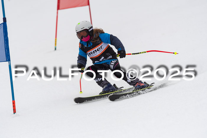 Ziener Cup Werdenfels U8,U10,U12,  01.02.2025