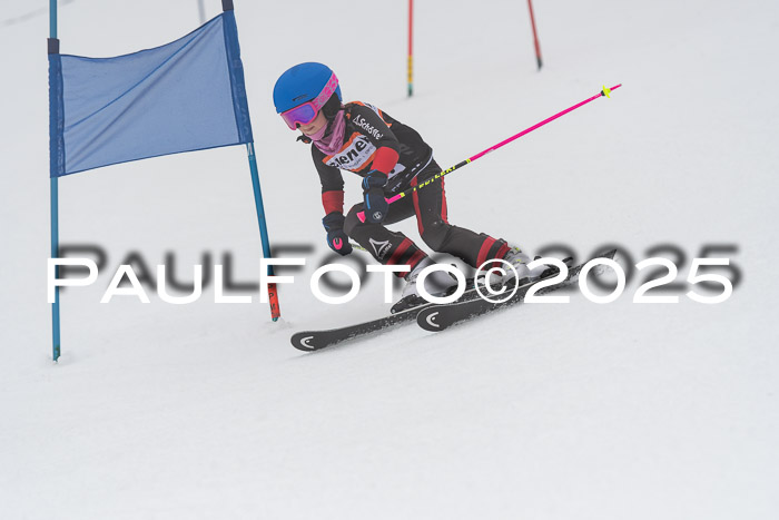 Ziener Cup Werdenfels U8,U10,U12,  01.02.2025