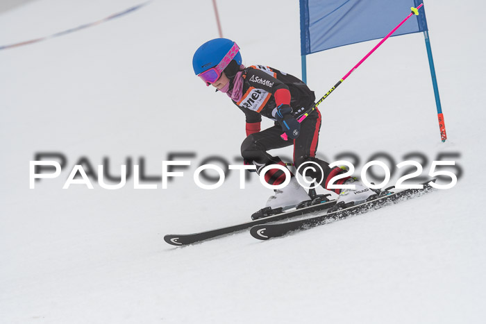 Ziener Cup Werdenfels U8,U10,U12,  01.02.2025
