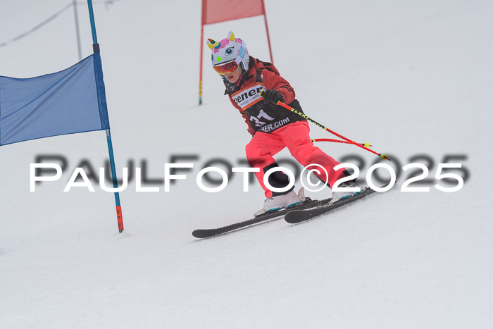 Ziener Cup Werdenfels U8,U10,U12,  01.02.2025