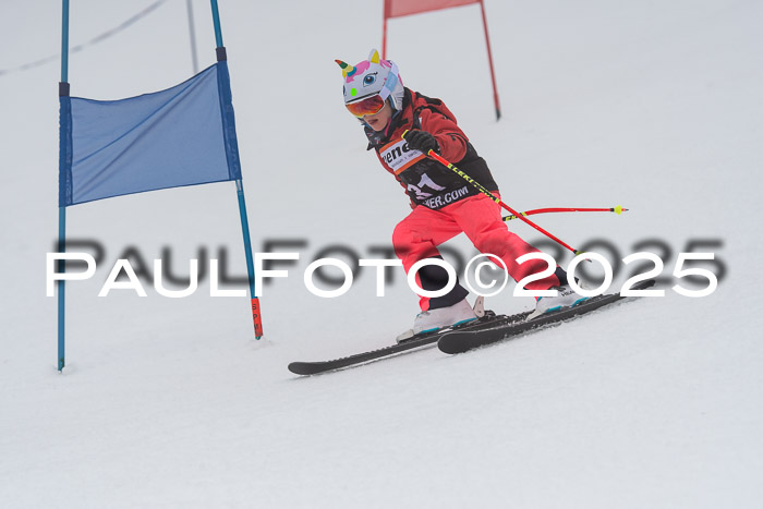 Ziener Cup Werdenfels U8,U10,U12,  01.02.2025