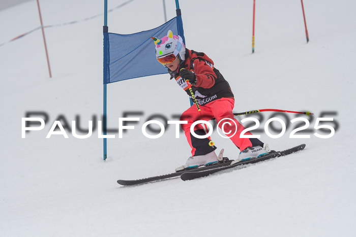 Ziener Cup Werdenfels U8,U10,U12,  01.02.2025