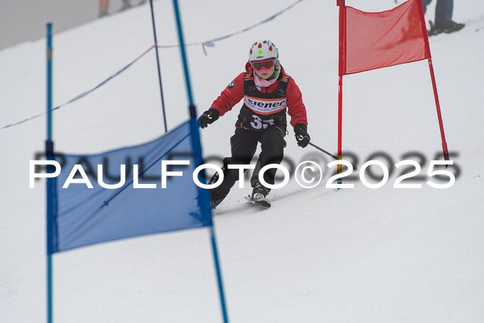 Ziener Cup Werdenfels U8,U10,U12,  01.02.2025