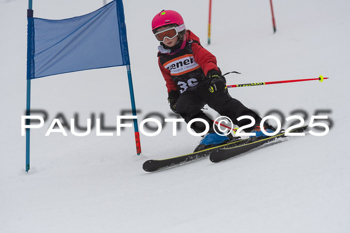 Ziener Cup Werdenfels U8,U10,U12,  01.02.2025